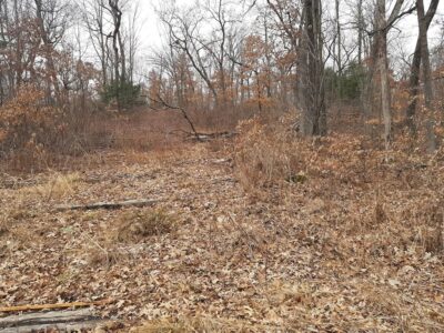 38.97 Acres Vacant Land Online Auction Ends - Rock Springs, WI.