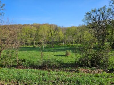 Online 38.62 Acres Vacant Land Auction - Open House - Town of Washington